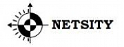 Netsity Sysytems logo