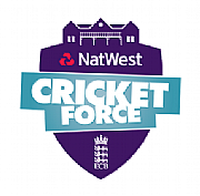Newdigate Cricket Club Ltd logo