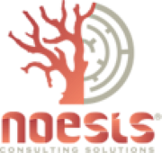 Noesis Consultants Ltd logo