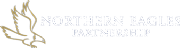 Northern Eagles Financial Ltd logo