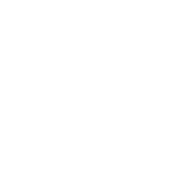 Nsm Professional Services Ltd logo