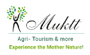 Nurture Tourism Ltd logo
