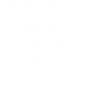OPEN VECTOR LTD logo