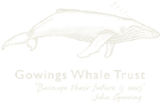 Owings Ltd logo