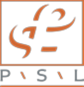 P\s\l Group Europe Ltd logo