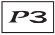 P3 Computer Services Ltd logo