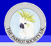Parrot International Ltd logo