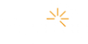 Payline Ltd logo