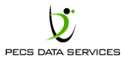 Pecs Data Service Ltd logo