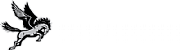 Pegasus Express Ltd logo
