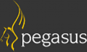 Pegasus Software Ltd logo
