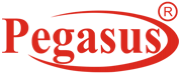 PEGASUS TECH DEVELOPERS LTD logo