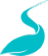 Pelican Computing Ltd logo