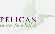 PELICAN CONSULTANTS LLP logo