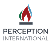 Perception International Ltd logo