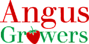 Perth & Angus Fruit Growers Ltd logo