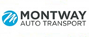 Peter Dale Car Transport logo