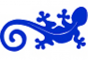 Picturelizard Ltd logo