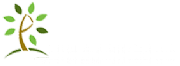 Pier Associates Ltd logo