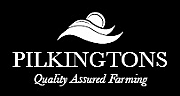Pilkingtons logo