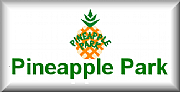 Pineapple Park Ltd logo