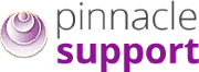 PINNACLE SUPPORTS SERVICE LTD logo