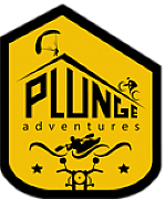 Plunge International Ltd logo