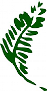 Porchfern Ltd logo