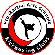 Professional Martial Arts Schools Ltd logo