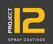 Project 12 Ltd logo