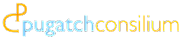 Pugatch Consilium Ltd logo