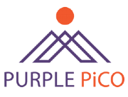 PURPLE PICO PROMOTIONS LTD logo