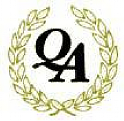 Quantum Analysis logo