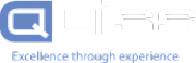 Quiss Technology plc logo