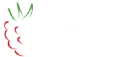 Raspberry Software Ltd logo