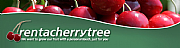 Rent A Cherry Tree logo