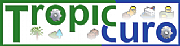 Rico Windows Ltd logo