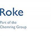 Roke Manor Research Ltd logo