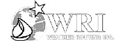 Routing World Ltd logo