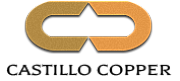 S. Castillo Ltd logo