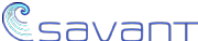 Savant Ltd logo
