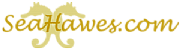Seahawes.com logo