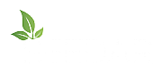 SEEDAR EARTH Ltd logo