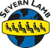 Severn-Lamb Ltd logo
