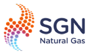 Sgn Natural Gas Ltd logo