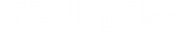 Shabby Store logo