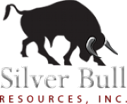 SILVER BULL CONSULTANTS Ltd logo