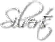 Silverts Ltd logo
