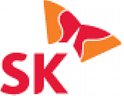 Sk Directors Ltd logo