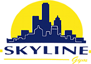 Skyline Building Services Ltd logo